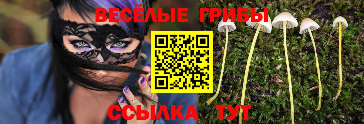 Псилоцибиновые грибы ЛСД Трёхгорный