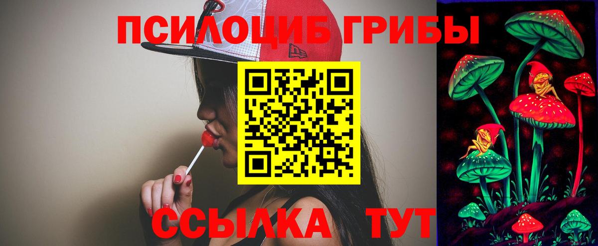 Псилоцибиновые грибы MAGIC MUSHROOMS  Вход с VPN  Трёхгорный  Псилоцибиновые грибы Psilocybine cubensis 